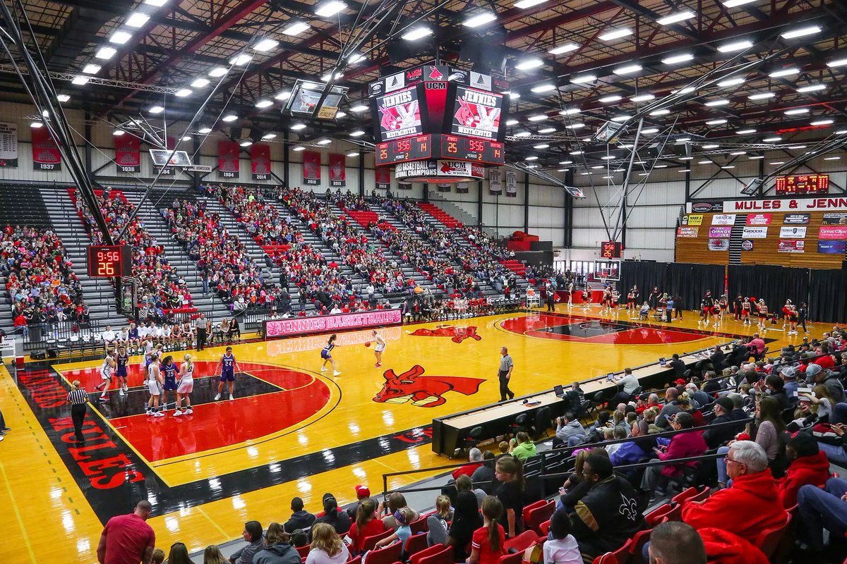 AJ Reed (@iamajreed) on Twitter photo After a great conversation with Coach Bohac, I’m blessed to receive an offer from Central Missouri! 🖤❤️ <a href="/SSCTrojansMBB/">Seminole State Men's Basketball</a> <a href="/abogle24/">Austin Bogle</a> <a href="/lqhunter/">Lucas Hunter</a> After a great conversation with Coach Bohac, I’m blessed to receive an offer from Central Missouri! 🖤❤️ <a href="/SSCTrojansMBB/">Seminole State Men's Basketball</a> <a href="/abogle24/">Austin Bogle</a> <a href="/lqhunter/">Lucas Hunter</a>