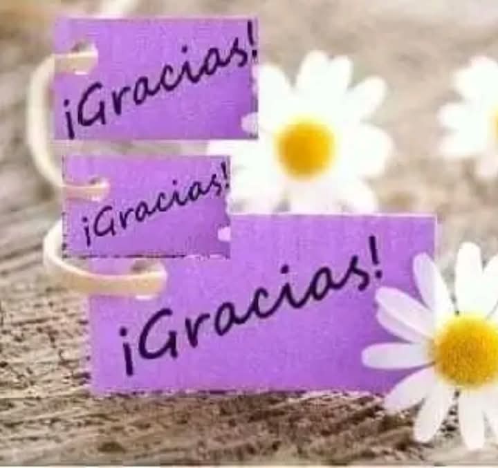 AnaliaEdit41365's tweet photo. @maripilyrivera @dracorosa @dracorosa Amaizing #super saludos #absolutly #Gorgeous #Abraรงo #desde islรฃ de Itaparica Bahia Brasil ๐ฉ๐โ๐๐๐๐ช๐๐๐๏ธ https://t.co/5QLn50JjNz
