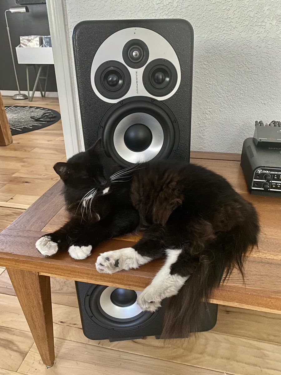 BarefootSound's tweet photo. 🐈‍⬛🔈⚡️ #caturday #microstack45 https://t.co/FVJ0p2bDun