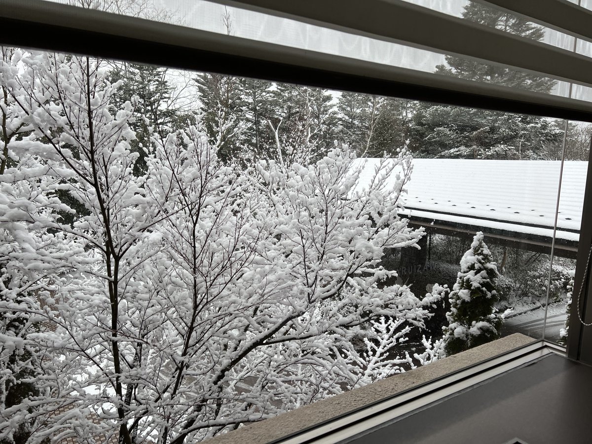 まるで雪国☃️