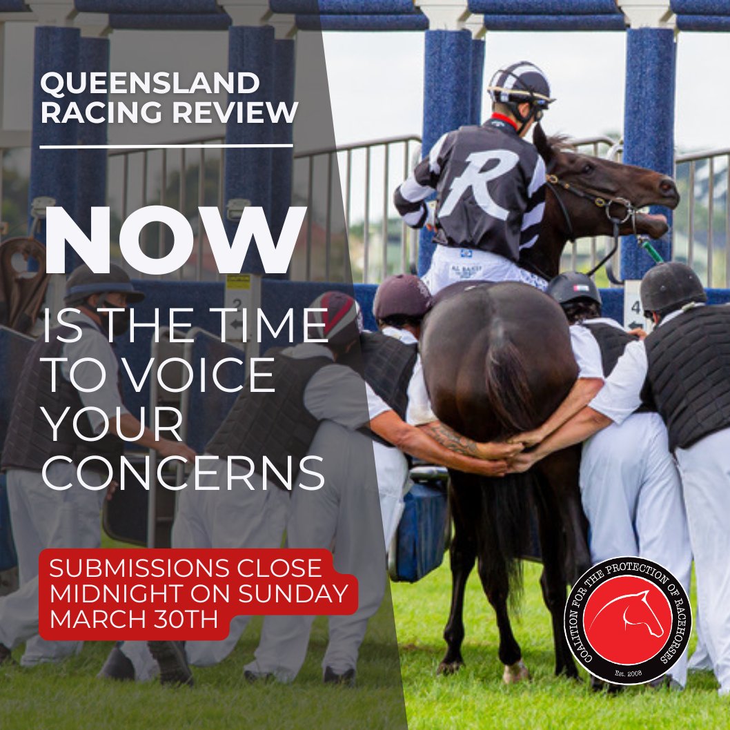 Please have your say on the welfare of all racing animals! There are two options:

- Write your own submission and email it to racingreview@dtis.qld.gov.au
- Complete a survey via this link: surveys.dtis.qld.gov.au/n/35kuWoL?ver=…

You do NOT have to be in Queensland to make a submission.