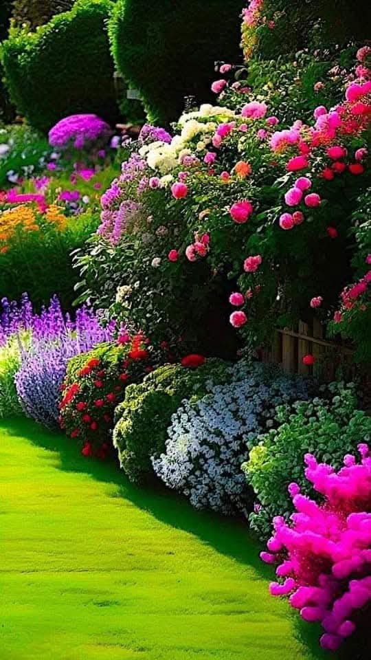 يقول الرسول الكريم صلوات ربي وسلامه عليه، تسحروا فإن بالسحور بركة
#دعم_الجابري 
#قروبات_البابلي_للاضافات
<a href="/N22_A3/">🇲🇾د.أحمد البابلي🇮🇶🛰️</a>
 <a href="/abonana80/">ABO NANA</a> 
<a href="/alsalihynajat/">najatalsalihy</a> 
<a href="/sdf_gp1/">🔥 ⓢⒹ𝔣 ඏ♕ ڝــدڧ</a> 
<a href="/lavend523/">ȷבɹ̇ᓅϪ</a> 
<a href="/Dr_abeer8/">عبير80K Abeer</a> 
<a href="/dJamileHADADSal/">GAMIL Haddad 🇦🇹🇪🇬</a> 
<a href="/vkjha783/">Vinod Kumar Jha</a> 
<a href="/Rymhse/">𝑟ꫀ𝑚𝑎 🧁</a> 
<a href="/NSA559/">النصر</a> 
<a href="/leo_coup/">مۘــﮪــڼۨــدڛَۜ لُؤي 🇸🇩</a> 
<a href="/MnolAliM/">قرآن مع التفسير</a> 
@11i7j 
<a href="/Albasha40835/">Ramab15</a> 
<a href="/75suhair/">_. suhair Al_jumaili</a>