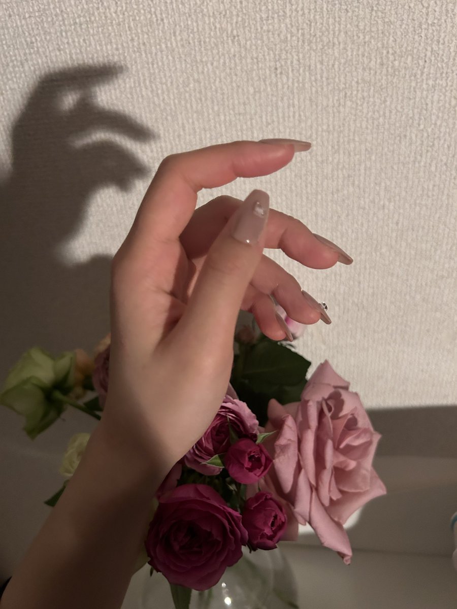 moezenmai's tweet photo. 今なら！finger suitの水光ネイルのBLANCもクーポンコード【MOE13】で10%offで買えるよ！
ちなみにこの商品もうなくなりそうだから急いだ方がいいよ！
https://t.co/W3HGvUL20Q
#fingersuit #ネイル #ネイルチップ ＃クーポンコード https://t.co/9vfVh4vlTX