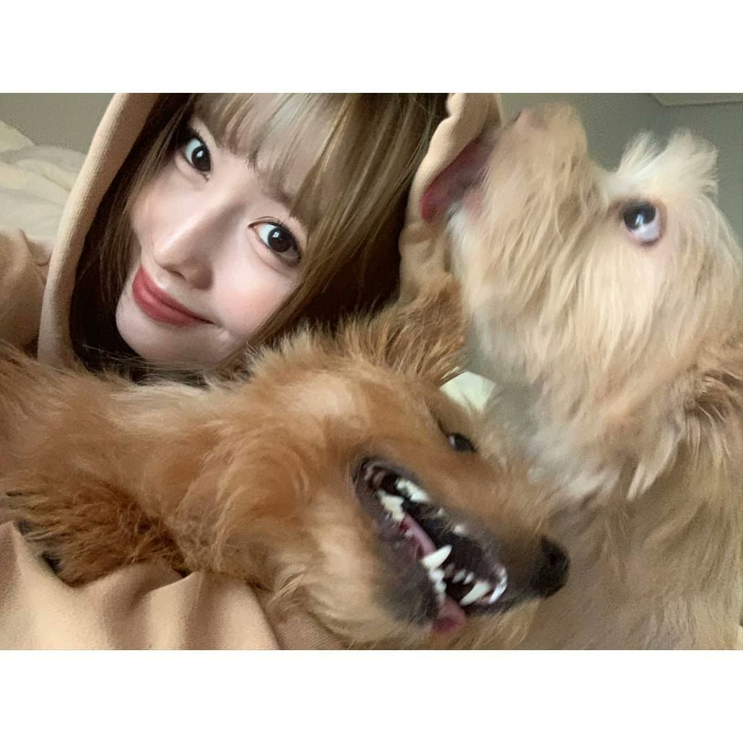 𝑂h, no !? ☆ 𝕥he #𝚗a͞n𝕒ʼ𝚜爱ː𝕚nvas𝕚on esta aquí. (﹡ˆ﹀ˆ﹡)♡ 🍰 𝑂f course, yo estoy más que 𝕝ista para ser la primera en gritarle a todito el mundo, mi amor eterno por este #𝕔änd𝕪𓉸ྀི𝐥·𖦹·𝕧·ǝ. ¿𝑌 ustedes, ya esichafon la canción?

𝑙ith(𝕚)ūm 𓈒 ꒰ 𓂋 🪷 *  𝑃on𝕪o.