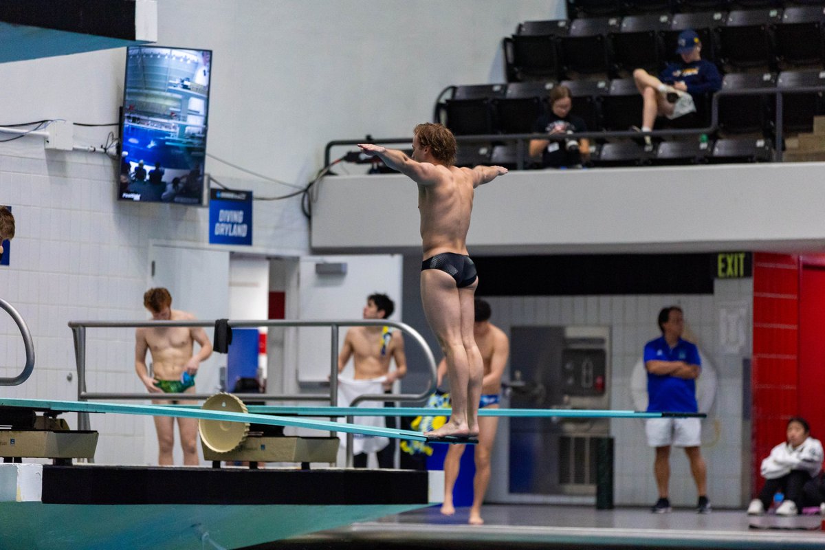 Augustana Vikings (@goaugie) on Twitter photo What an unbelievable weekend for <a href="/AugieSwim/">Augustana Swimming & Diving</a> 🙌
🗞️ » bit.ly/427Dz25
#BuildingChampions What an unbelievable weekend for <a href="/AugieSwim/">Augustana Swimming & Diving</a> 🙌
🗞️ » bit.ly/427Dz25
#BuildingChampions