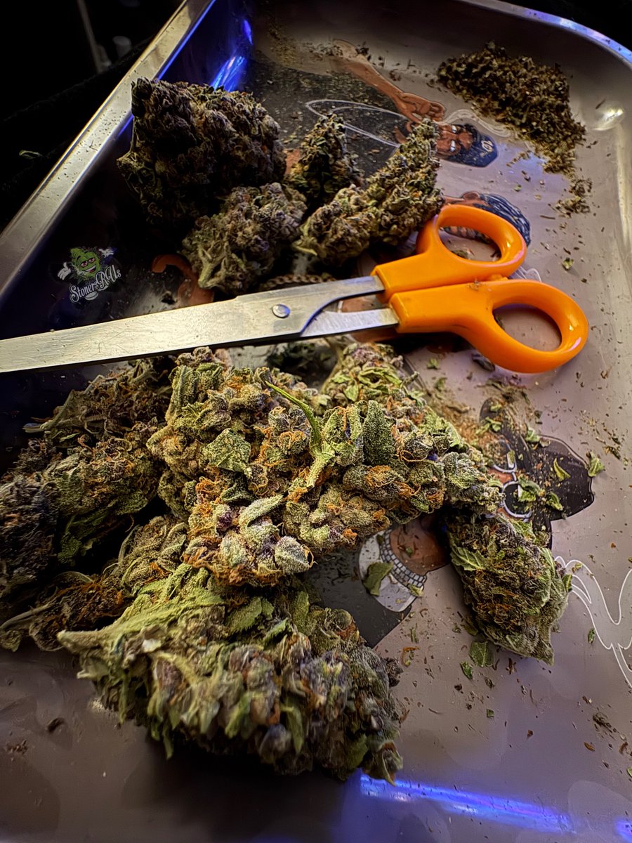 STONERS R US 🍃 tweet media