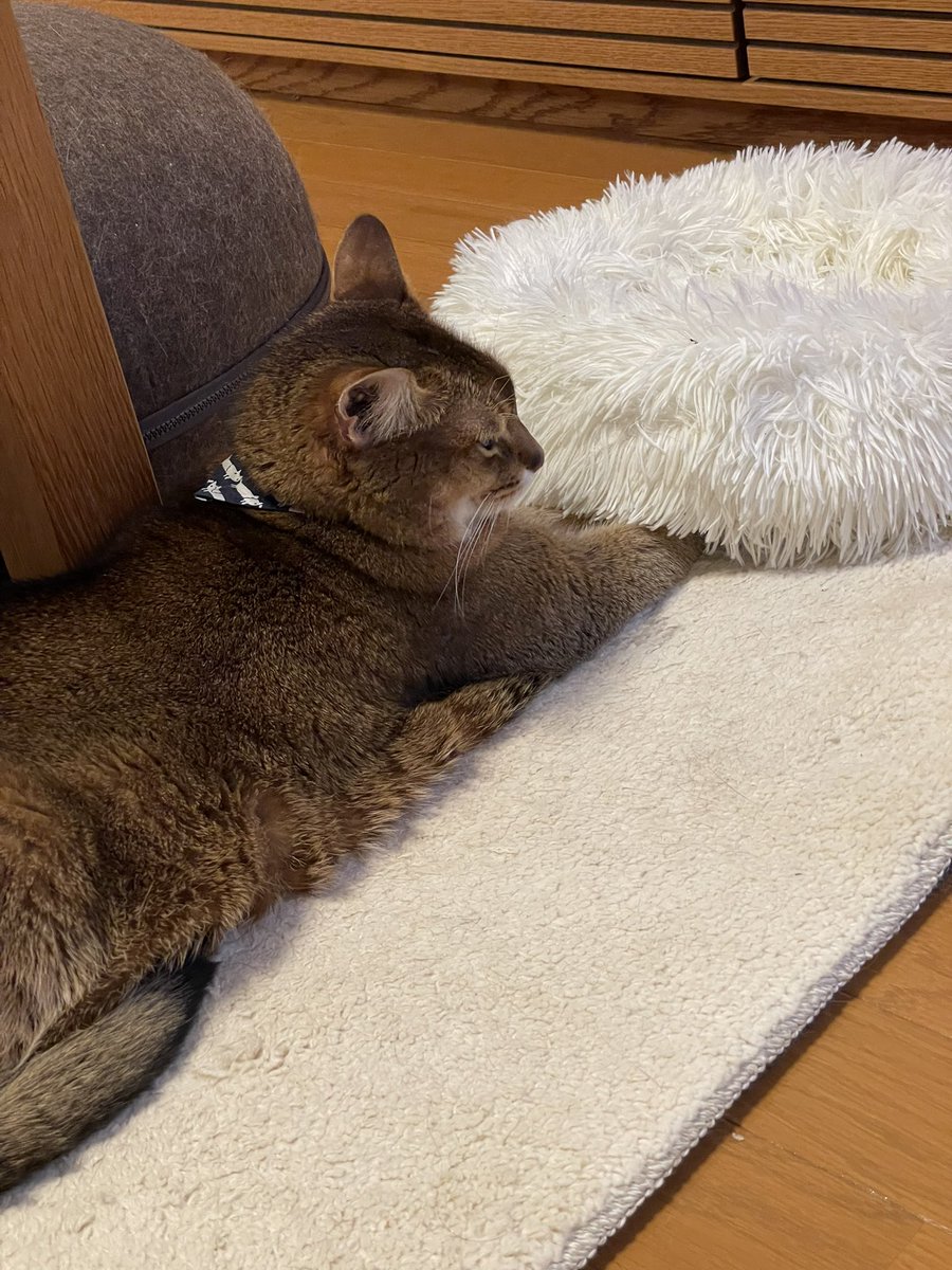 anamoxy's tweet photo. 寒いっす😨 https://t.co/NkbnVatpNS