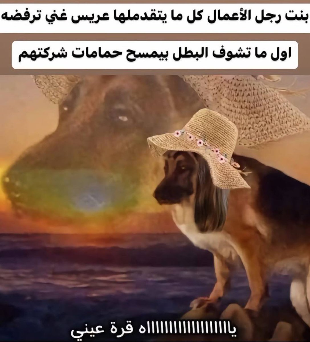 abdulrahman tweet media