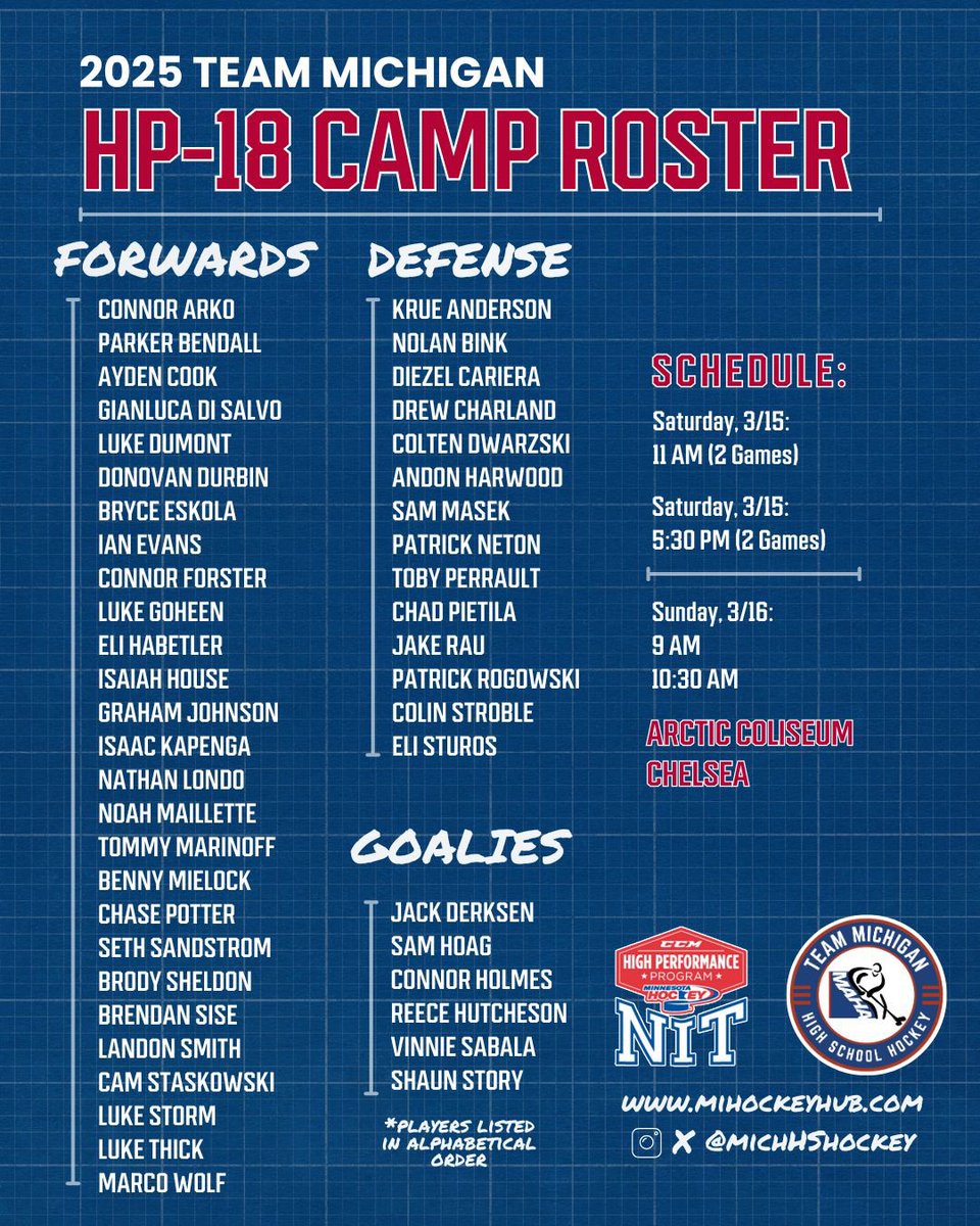 Congrats to our <a href="/Nvillehockey/">Northville Varsity Hockey</a> players who were selected to participate at the Team Michigan Festival.