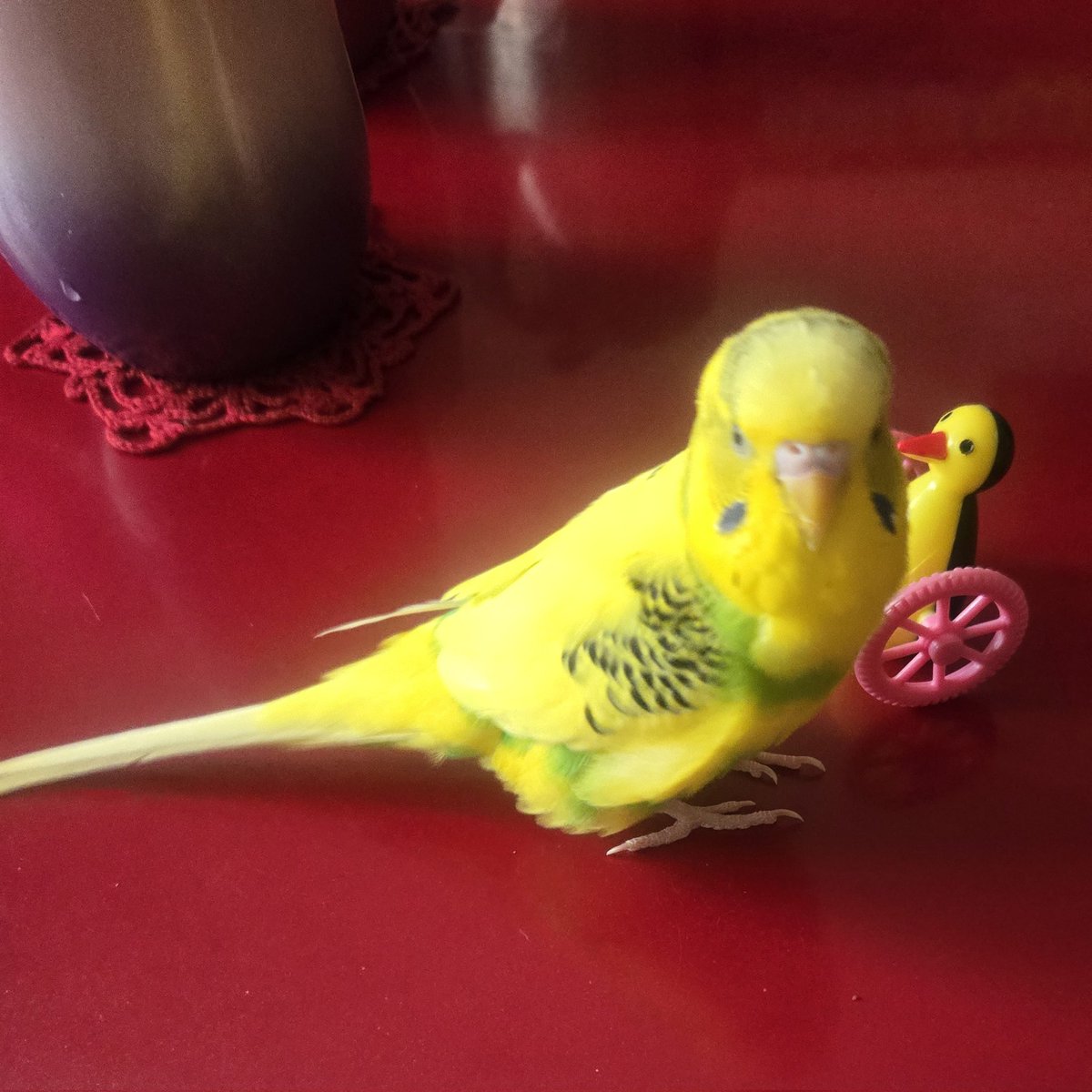 おはようございます🐥⸒⸒
今日寒い❄:;((＞﹏＜๑));:❄