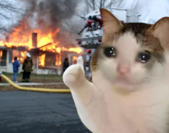 OKCATCTO tweet media