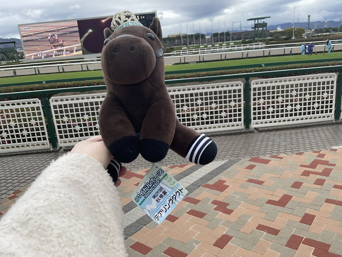 tripleTiaraD's tweet photo. ※実写注意

今日は阪神競バ場にお邪魔していますっ https://t.co/Ltl94Pi9cd