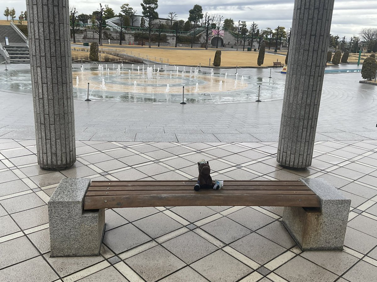 tripleTiaraD's tweet photo. ※実写注意

今日は阪神競バ場にお邪魔していますっ https://t.co/Ltl94Pi9cd