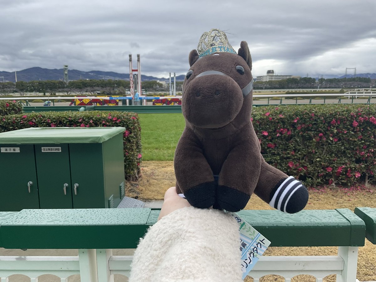 tripleTiaraD's tweet photo. ※実写注意

今日は阪神競バ場にお邪魔していますっ https://t.co/Ltl94Pi9cd