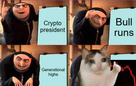 OKCATCTO tweet media