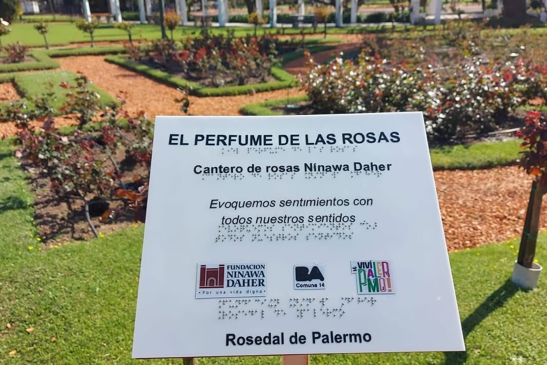 DÍA NACIONAL DE LA ACCESIBILIDAD.
Hoy celebramos con nuestro trabajo los derechos de las personas con discapacidad a tener las mismas oportunidades y los mismos recursos que aseguren su independencia y la accesibilidad en todos los espacios #legadoninawadaher 
#arteparaciegos