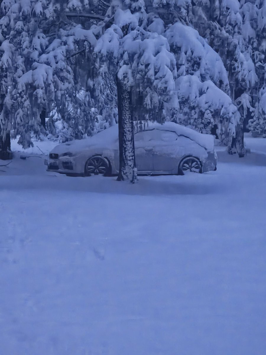 Native_213's tweet photo. A good snow couple of days. https://t.co/Fw1xTVSqMK