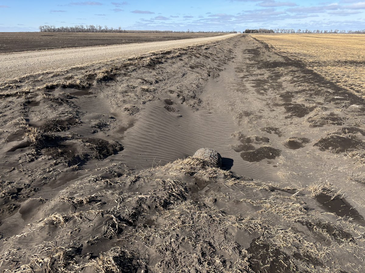Looks like our ditch gained some of our neighbors top soil with the winds this morning.