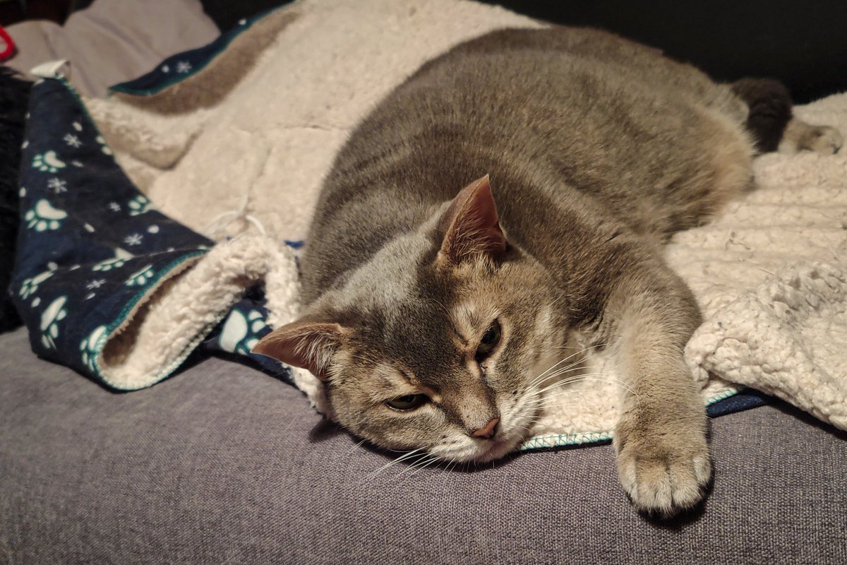 Gute Nacht und schlaft schön.