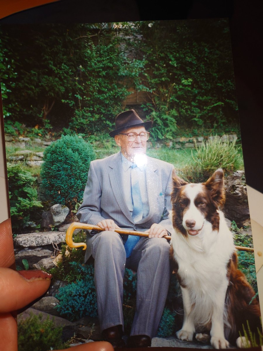 BulliedByBarnet's tweet photo. Grandpa from Wales with Toddy, 2nd @Crufts (1988) in Obedience (oh the irony). https://t.co/55N4jVWfcX