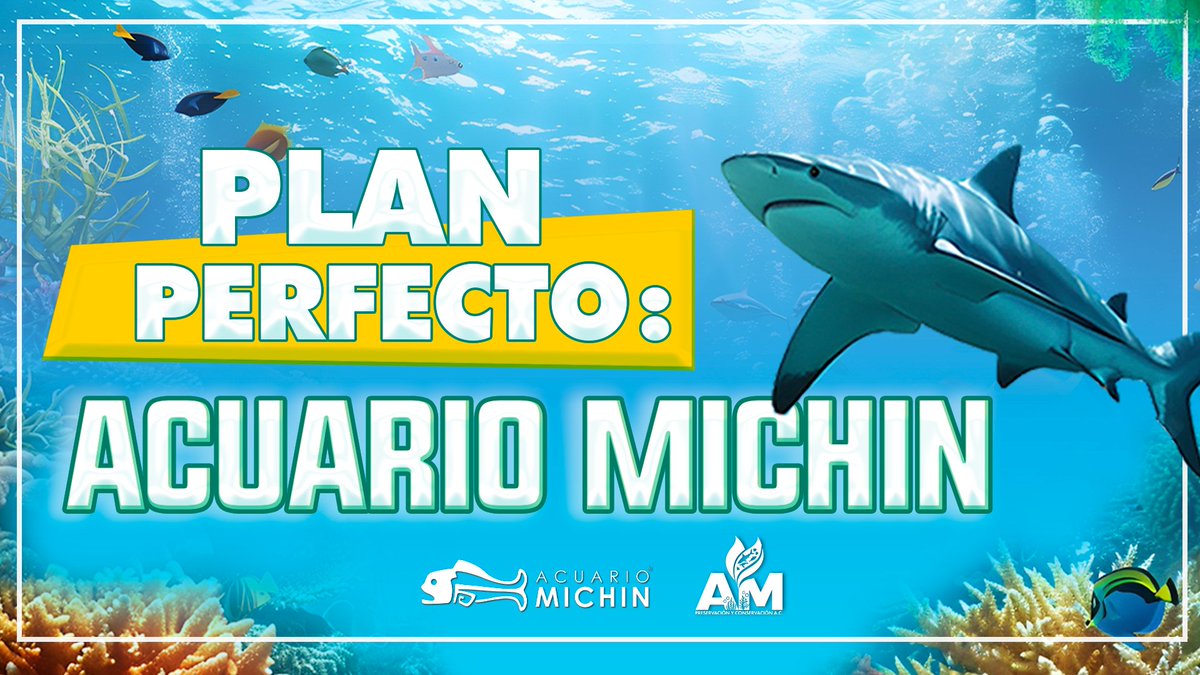 Acuario Michin Puebla tweet media