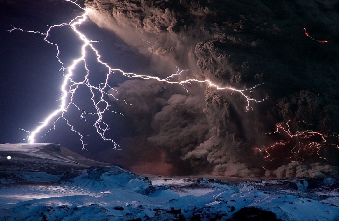 lamb-duh tweet media