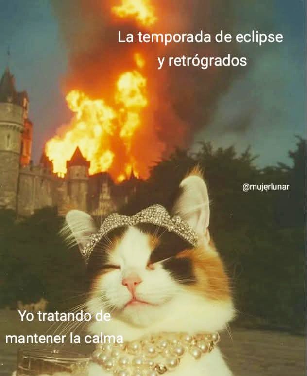 La mejor actitud para este momento 🙂