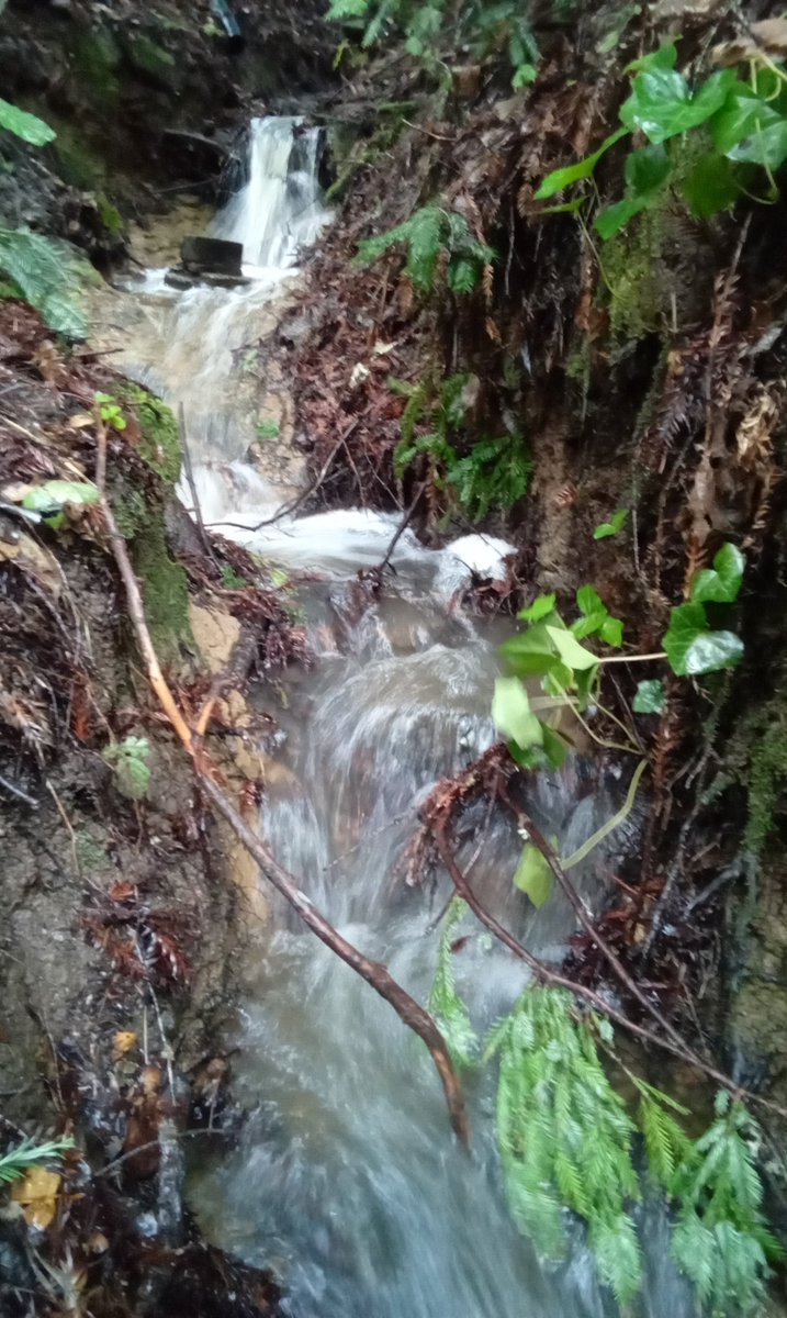 HillbillyIDXEnv's tweet image. 