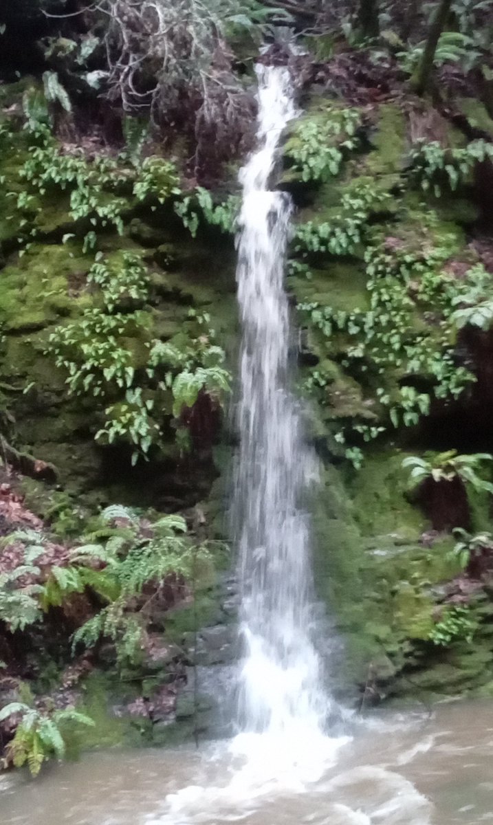 HillbillyIDXEnv's tweet image. 