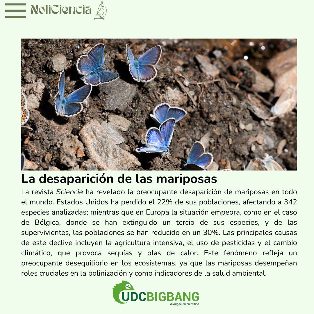 UDCbigbang tweet media