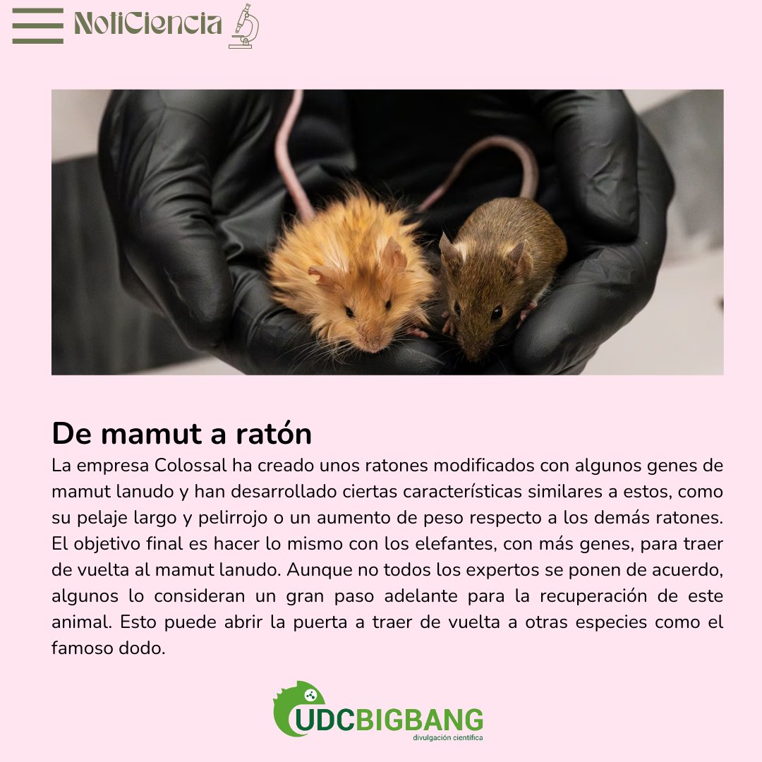 UDCbigbang tweet media