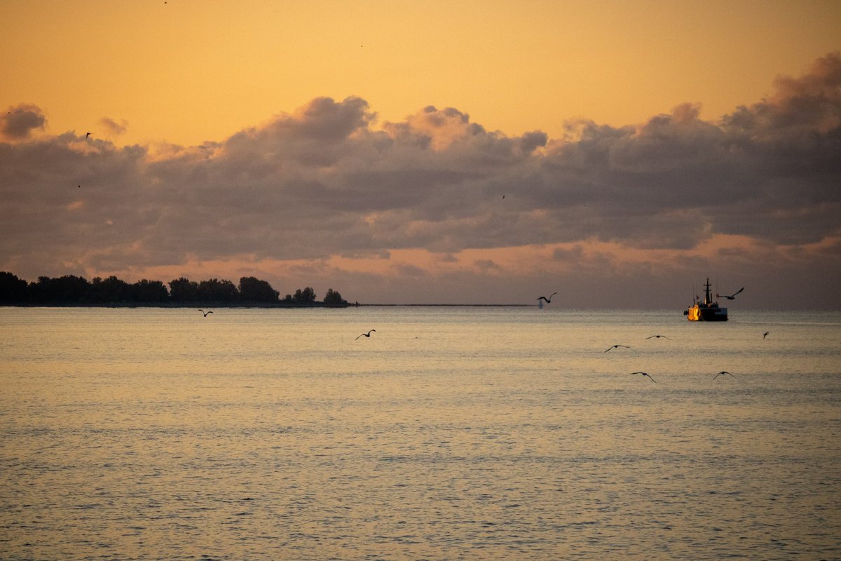 tomsamways's tweet photo. @NatuPhotography A simple morning on the lake! https://t.co/Yt5ATtGa0W
