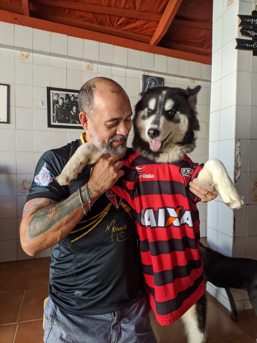 psycotrin's tweet image. O doguinho da sorte passando na sua timeline! Vamo Dragão!!! @ACGOficial @CornetaACG