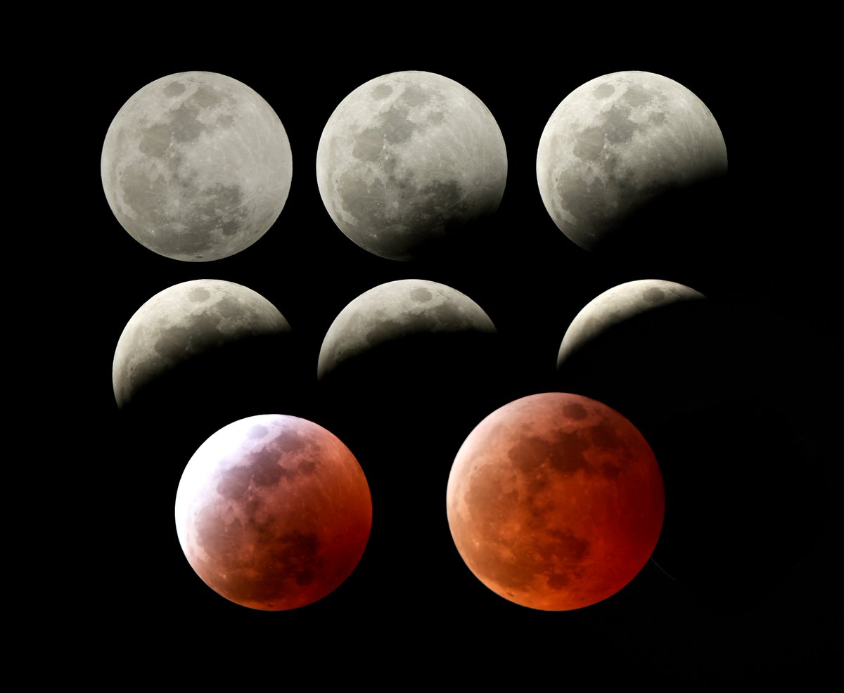 Tardobarroco's tweet photo. #LunaDeSangre @El_Universo_Hoy  #CanonEosR3 @archillect #Destinos #TraslasHuellasdelaLuz #CDMX #OjodelAlma #UnDíaUnaFoto @Natgeo #CanonMexicana #Eos400.2.8 #Fotoperiodismo #Photojournalism #SemáforoAmarillo  #manfrottotripod #canonphotographer  #CanonExplorerOfLight @wandrd #NASA https://t.co/y3QwiIOPLz