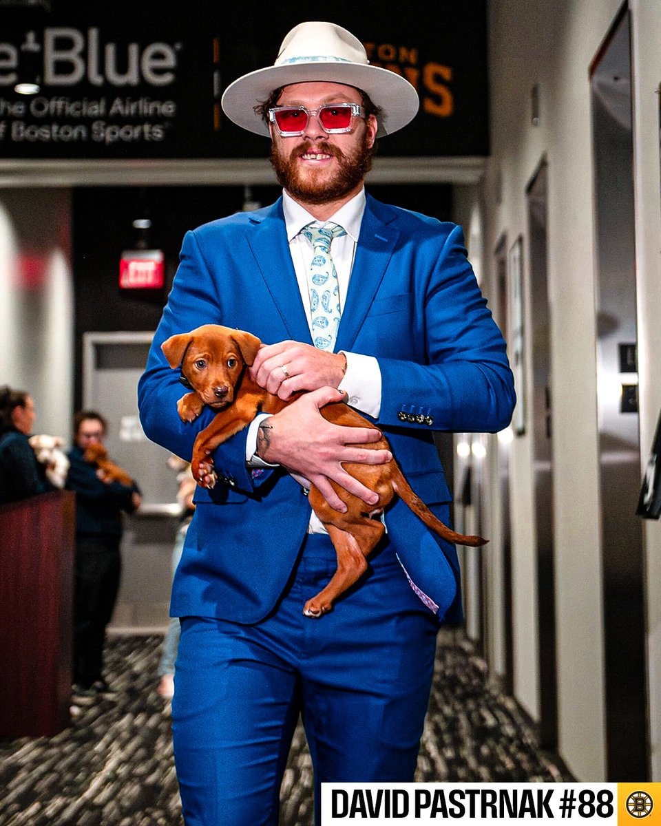 NHL's tweet photo. The best thing you'll see today 🐶 https://t.co/Pl7K8XM7aW
