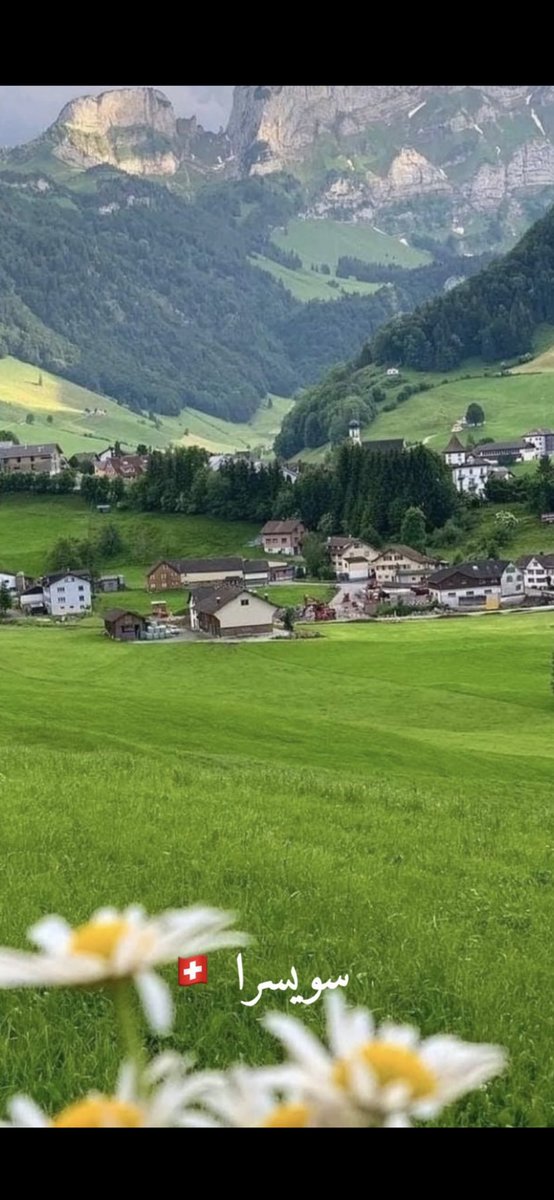 ‏محمد الحناكي tweet media