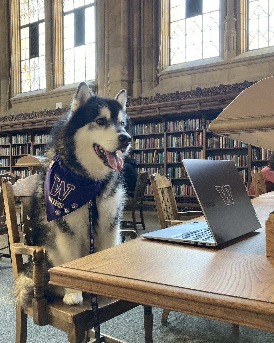 UWAthletics's tweet photo. .@DubsUW would like to wish all Huskies the goodest of luck during finals week 🐾

#GoHuskies https://t.co/HrfVvZDl7l