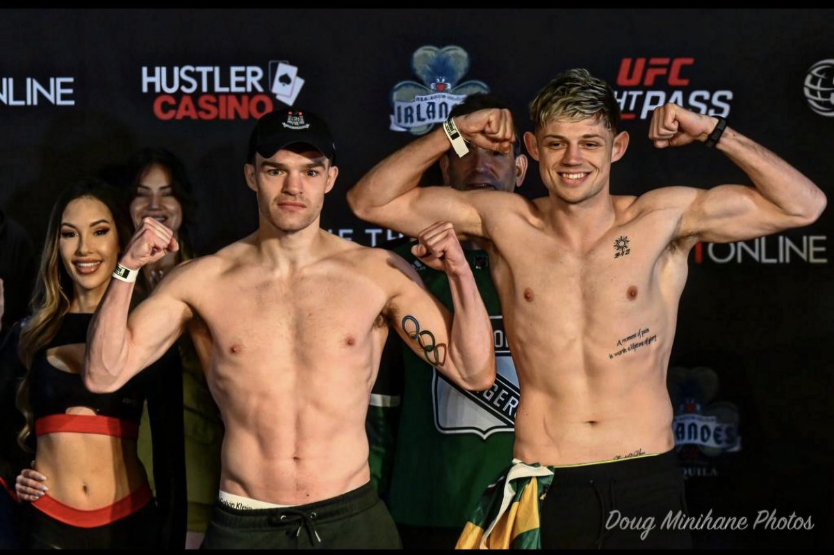 Kingdom Warrior tweet media