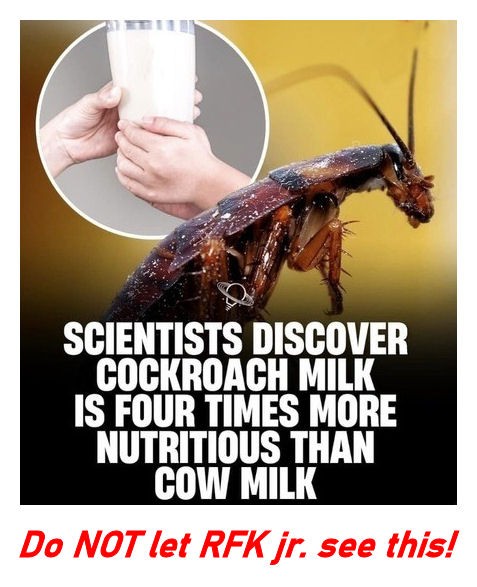 Sabrina McDaniel (@sabrina_mcda) on Twitter photo 