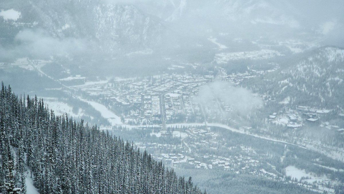 Kyle Brittain tweet media