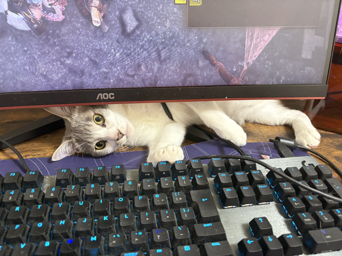 最近のアイルーは第4の壁を越えてくる。

#モンハン