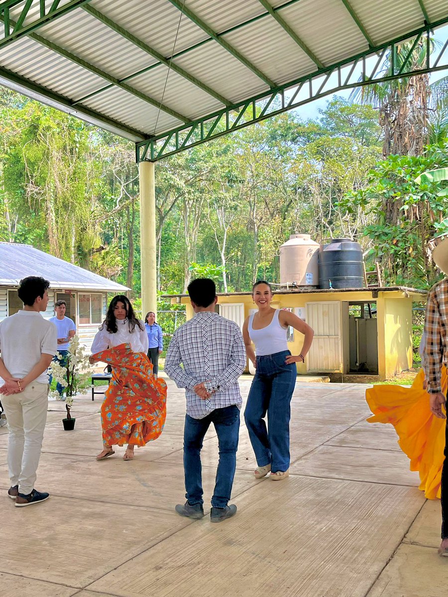 estebiferloza's tweet photo. Los placeres de la vida: el baile, la comida, los paisajes y la buena compañía 💚
📍#EMSaD NARANJA 🍊TITLA 🧡 https://t.co/nWgYlztnF9