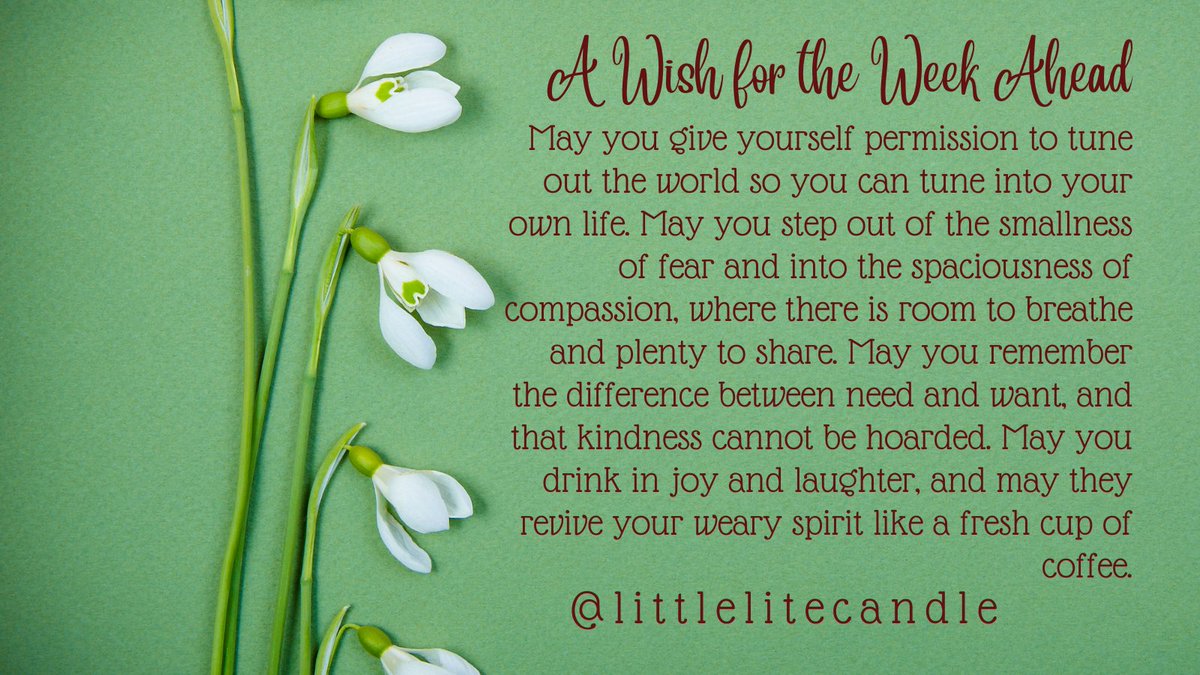 littlelitecand's tweet photo. https://t.co/PwsEdlcLt4
