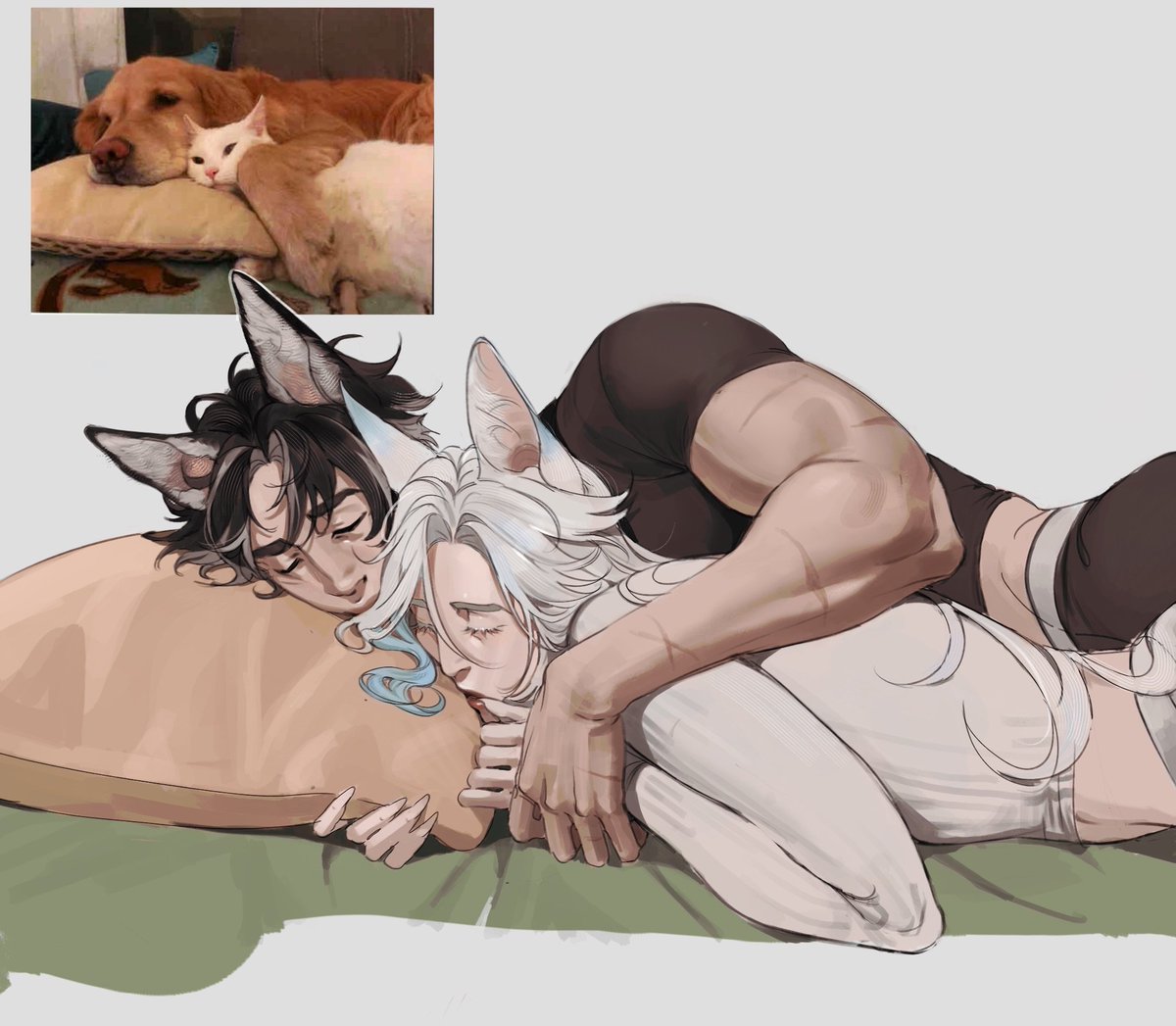 🐺🐱 Nap time~
#wriolette