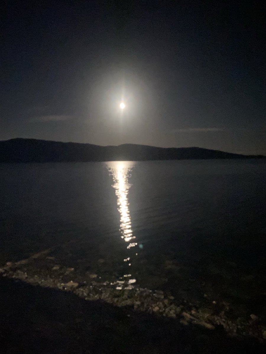 James Grant tweet media