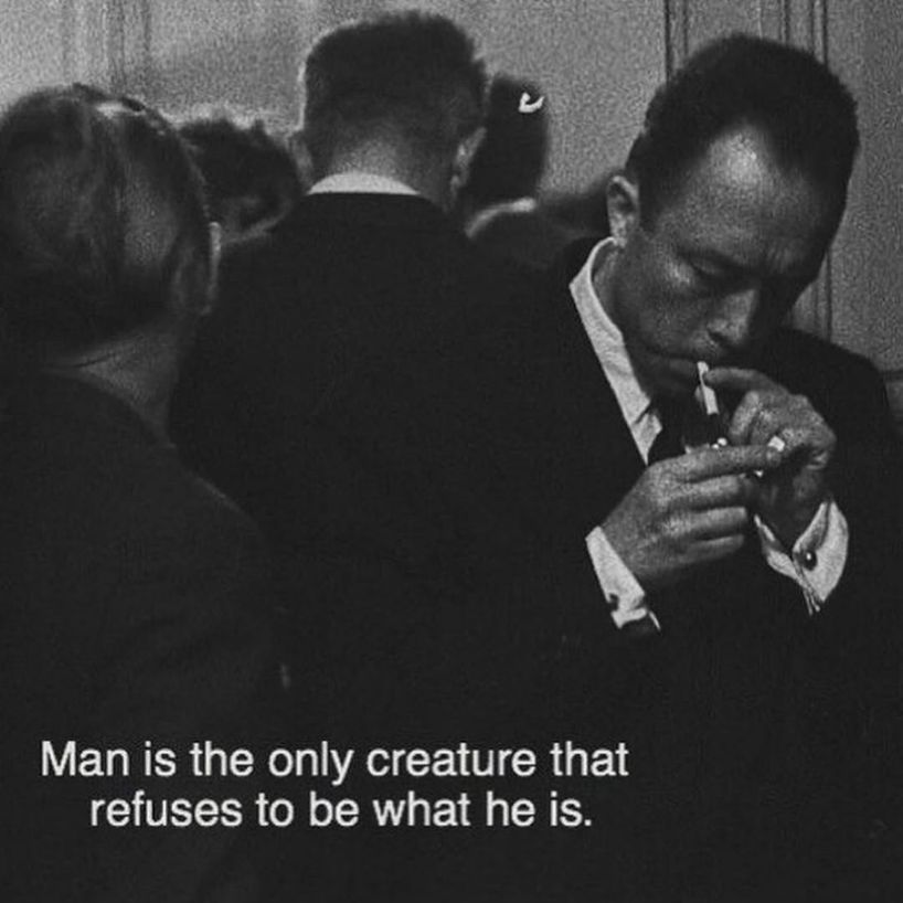 culture jpeg (@culturejpg) on Twitter photo 