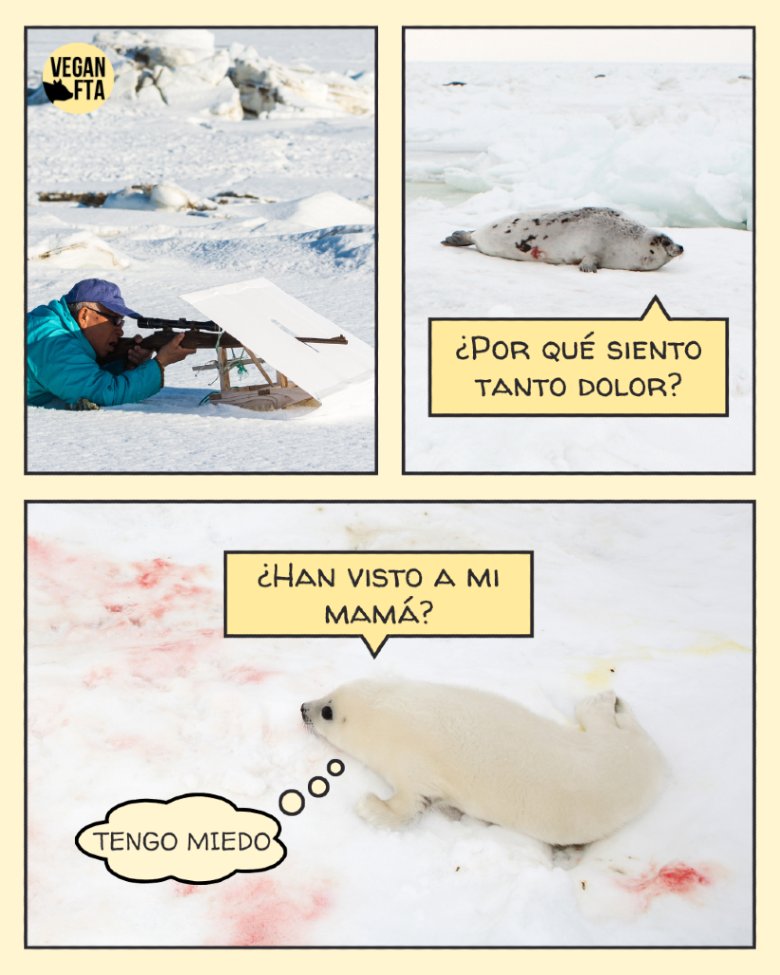 VeganFTAEspanol's tweet photo. En este Día Mundial contra la Matanza de Focas recordemos que la única piel que nos pertenece es la nuestra 🙏
👉 Ayuda gratuita para hacerte vegan: https://t.co/hQhiQsMxuQ
#focas #pieles #caceria #cueronatural #huntingseason https://t.co/rzxyVsTwn8