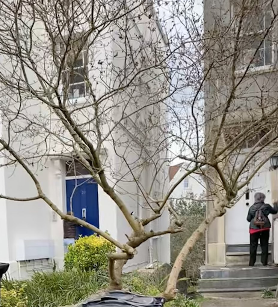 Cllr_Morey's tweet photo. Out canvassing this afternoon for @helengt76 

It’s clear the residents of Clifton &amp; Redland understand the assignment: 
They want an experienced, capable woman as their next WECA Mayor.

Met many Labour voters, and many others happy to lend us their vote to ensure Helen wins! https://t.co/EWI6KDkdju