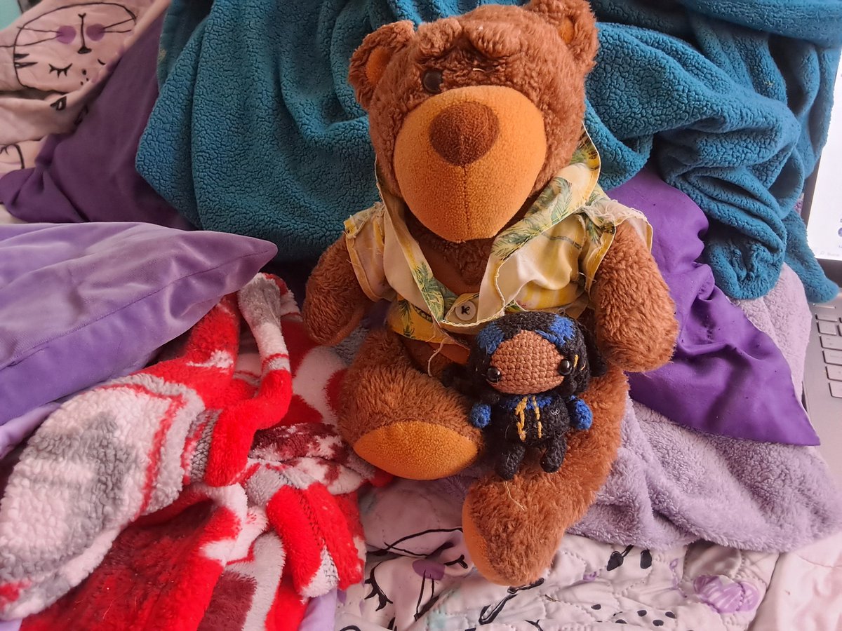 lizardsongstar2's tweet photo. First plushie in my bed and Current plushie in my bed https://t.co/4hjTyTGZnC