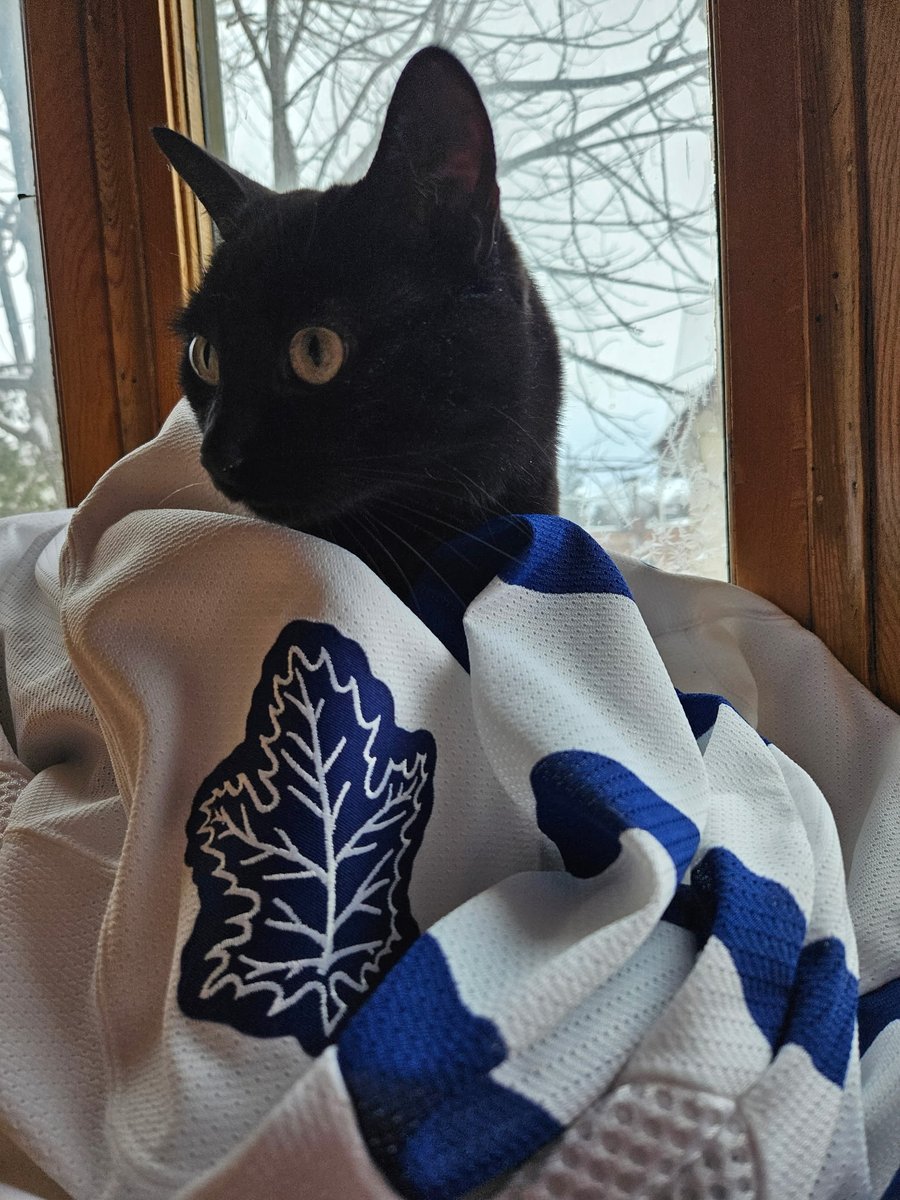 ##ChewyLeafsMVPets
